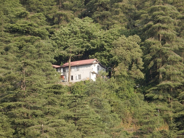 Top 5 places to visit in Shimla (Queen of Hills) in 2020