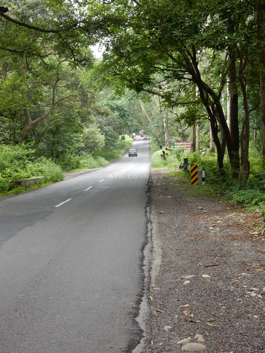 Road through Kalesar national park