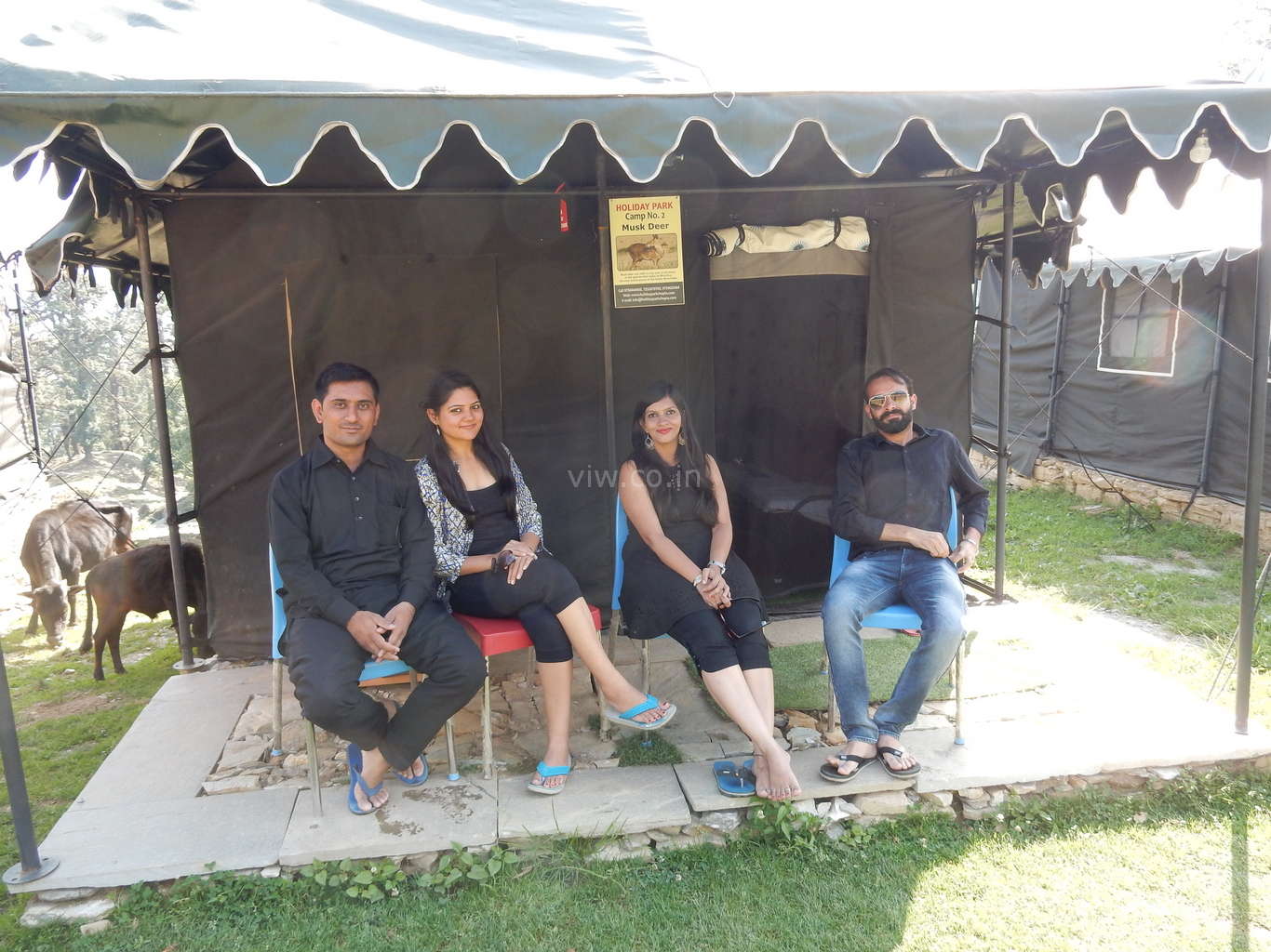 Swiss tent experience in Chopta tungnath