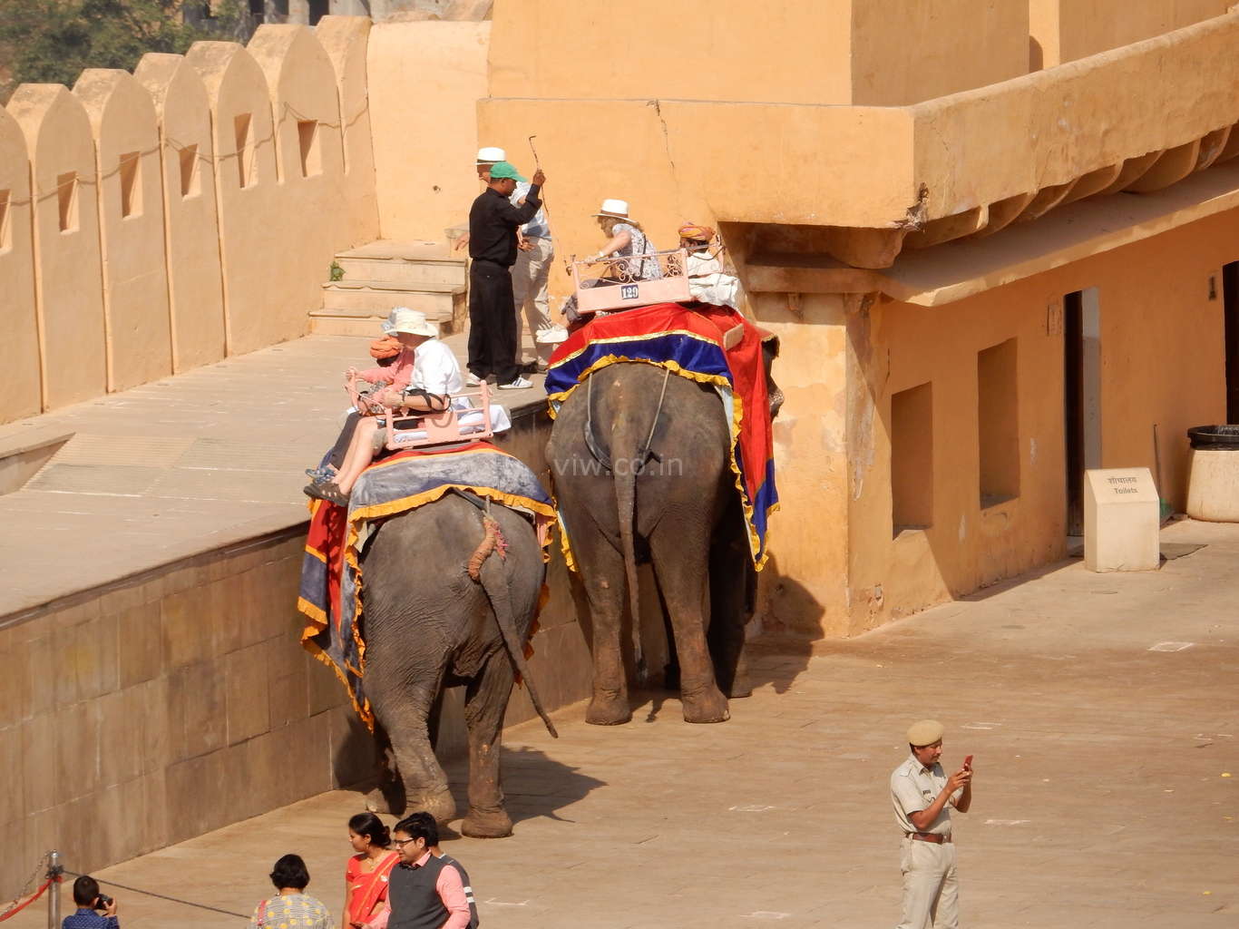 Elephants ride in amer fort premises